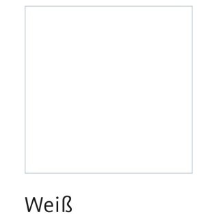 weiss (RAL 9016)