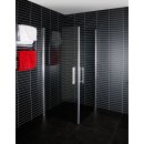 Euroshowers Corner Eckeinstieg Duschkabine, 90cm, 100cm, Aluminium eloxiert, Klarglas