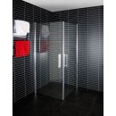 Euroshowers Corner Eckeinstieg Duschkabine, 90cm, 100cm, Aluminium eloxiert, Klarglas